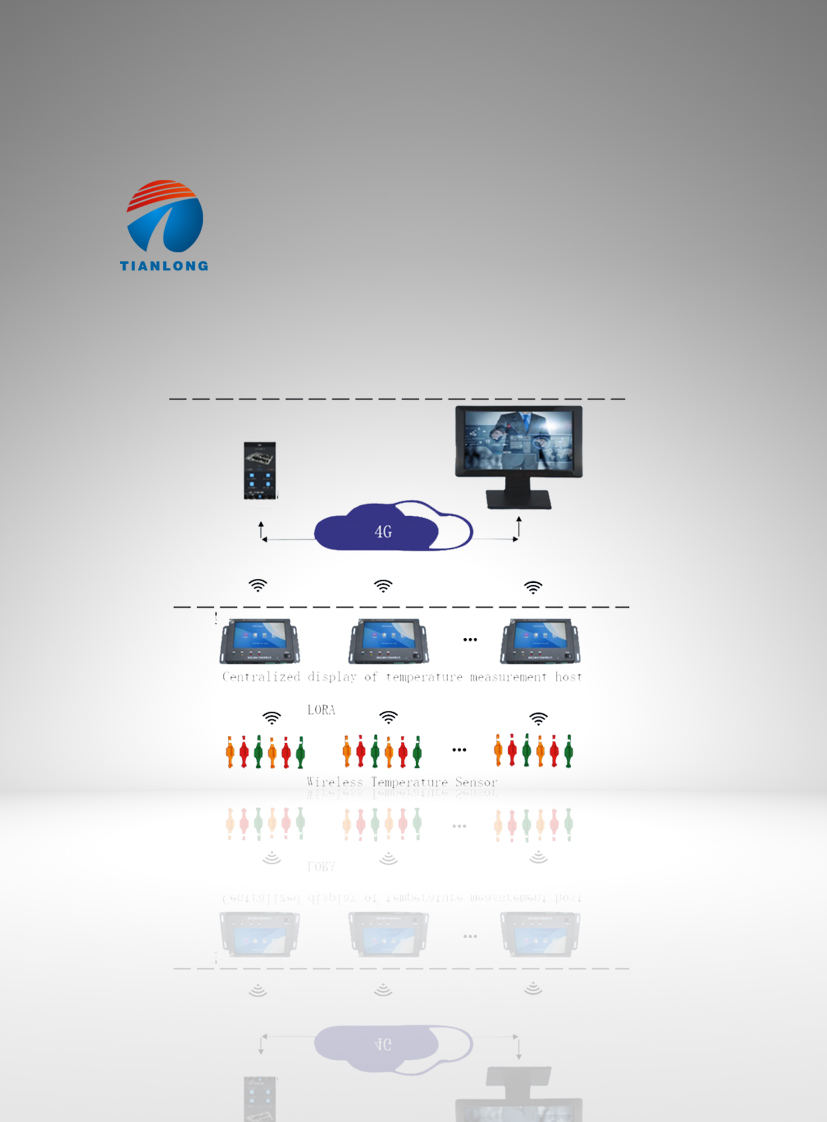 Wireless Temperature Sensor